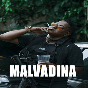 Portada de Malvadina