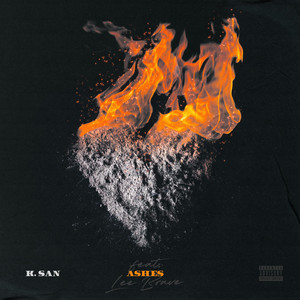 Portada de ashes