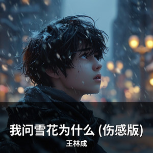 我问雪花为什么 (伤感版) by 王林成