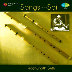 Songs Of The Soil Raghunath Seth - Album by Traditional | Spotify