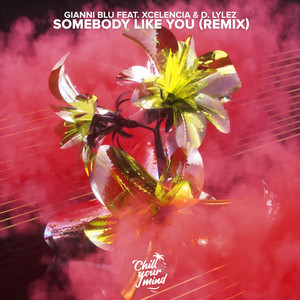 Somebody Like You - Xcelencia Remix by Gianni Blu, D. Lylez, LA EQUIS