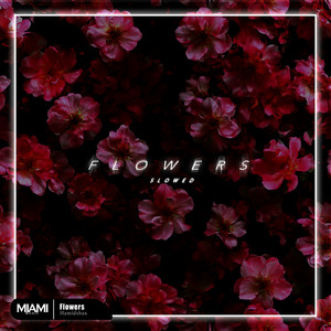 Flowers - Slowed by Hamidshax