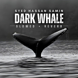 Dark Whale - slowed + reverb by Syed Hassan Samin