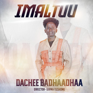 Kuush Records - Dachee Badhadha Imaltuu