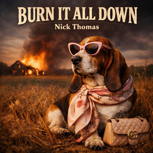 Burn It All Down by Nick Thomas