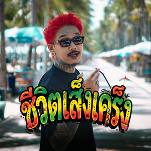 ชีวิตเส็งเคร็ง by เฉาก๊วย จีสอง
