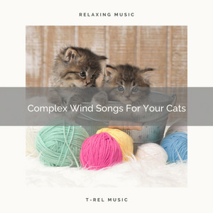 Complex Wind Songs For Your Cats album