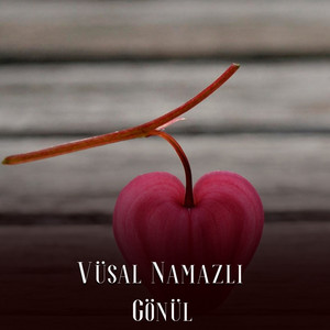 Vüsal Namazlı - Gönül