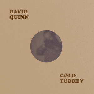 Cold Turkey by David Quinn