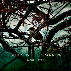 Sorrow the Sparrow by Mehru Syed