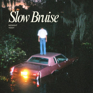 Slow Bruise by Midnight Teddy