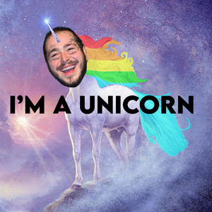 Boots and Cats - I'm a Unicorn