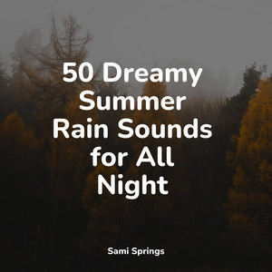 50 Dreamy Summer Rain Sounds for All Night album