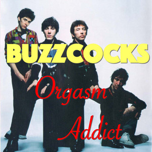 Orgasm Buzzcocks 1977年UKオリジナル盤 Addict