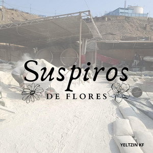 Suspiros DE FLORES by FARRA money