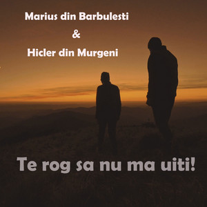 Hicler Din Murgeni