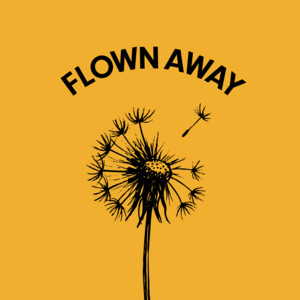 Flown Away by Drop After Dawn