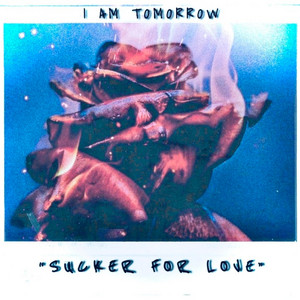 Sucker for Love