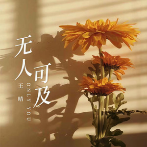 王晴 - 无人可及 (伴奏)