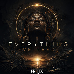 Everything We Need by Projix