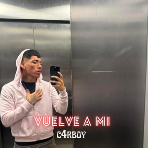 VUELVE A MI by C4rboy