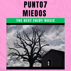 MIEDOS by PUNTO7