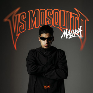 VS Mosquito — Malaria (2026)