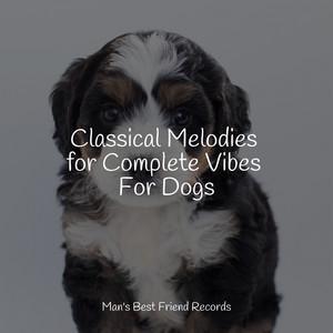 Classical Melodies for Complete Vibes For Dogs album