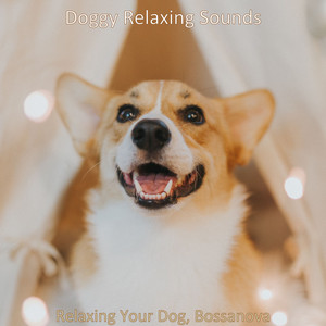 Relaxing Your Dog, Bossanova album