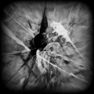 Symbiosis by Ian Deb