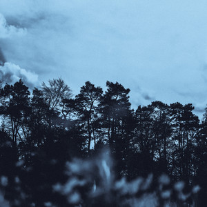 in the quiet of loss by cxlt., Roseblue, amlo