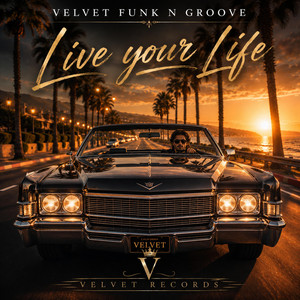 Live your life by Velvet Funk n Groove