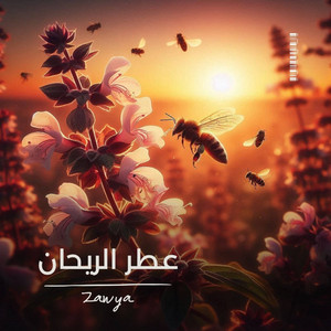 Zawya - يا بحر الغربة