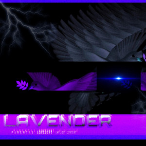 Lavender cover