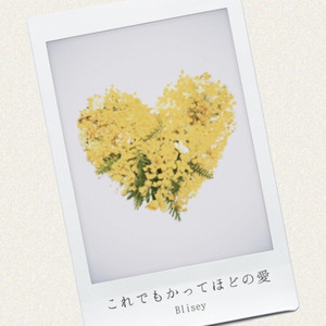 Blisey - Koredemokattehodonoai