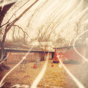 pennies by Juniper