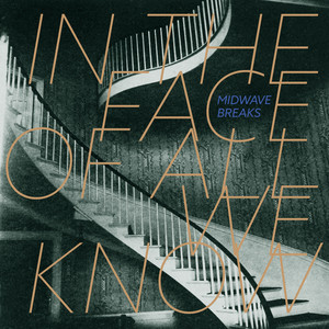 In the Face of All We Know by Midwave Breaks