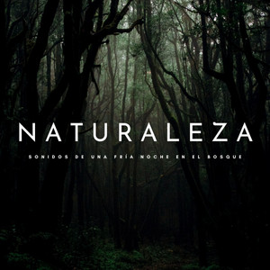 Naturaleza: Sonidos De Una Fría Noche En El Bosque album