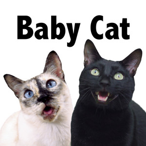 N2 Cat Crew - Baby Cat