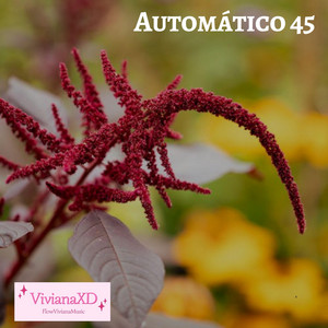 Automático 45 by VivianaXD