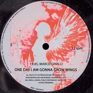 ONE DAY I AM GONNA GROW WINGS by Marco Ginelli, 19.85
