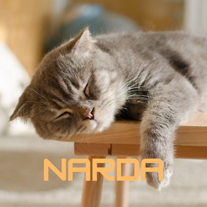 Narda by Ex Batalion