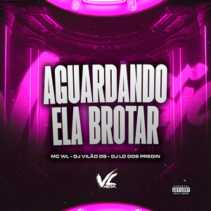 DJ VILAO DS, MC WL & DJ LD DOS PREDIN - Aguardando Ela Brotar