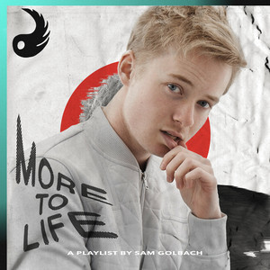 More to Life by Sam Golbach album