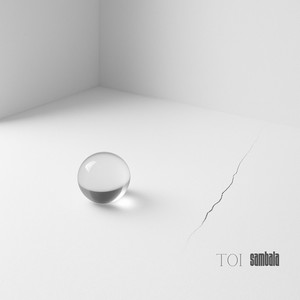 Toi