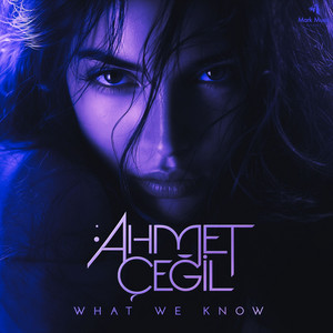 What We Know by Ahmet Çeğil