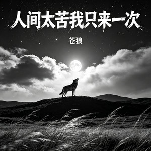 人间太苦我只来一次 by 苍狼