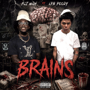 Brains by Pcj Wam, LPB Poody