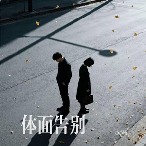 体面告别 ｜R&B 抖音完整版｜-小小杨 by 啊润-抖音Music