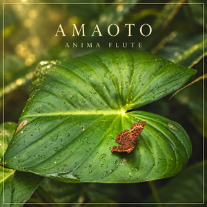 AMAOTO by Anima Flute